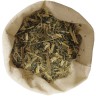 Nettle mix (Urtica dioica)